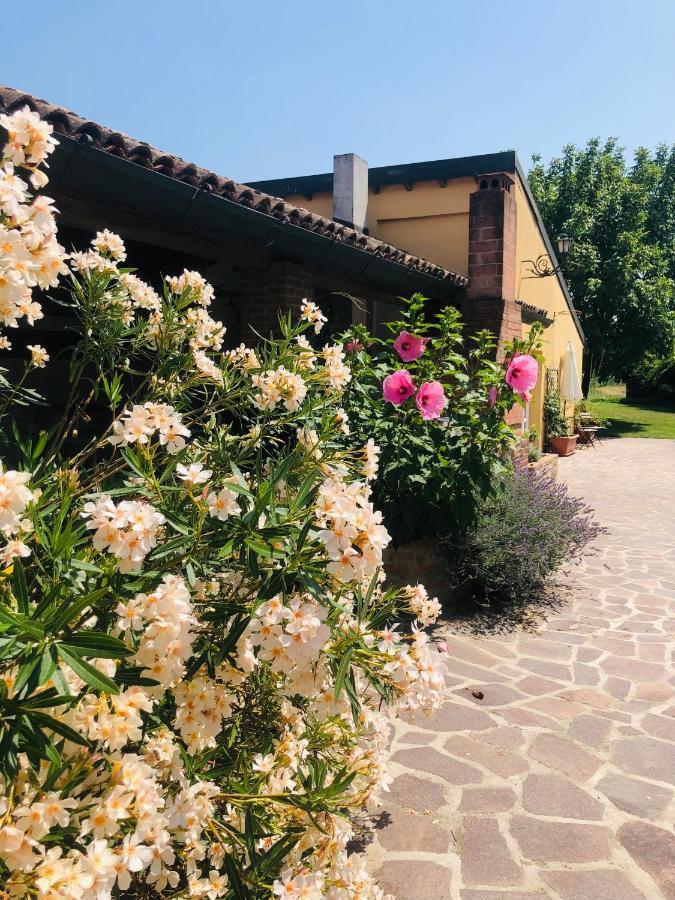 فيلا La Casa Nei Campi Badia Pavese المظهر الخارجي الصورة